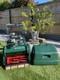 Atco Allett Balmoral 17s Petrol Cylinder Self-Propelled lawnmower mower 17 02