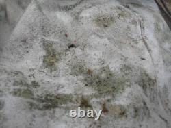 Billy Goat Briggs 8hp Petrol Engine Leaf litter Vacuum Self propelled, Project