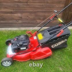 Cobra Self Propelled Rear Roller Petrol Mower