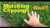 Does Mulching Clippings Cause Thatch Buildup In Lawns