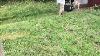 Ego 56v 50cm 20 Steel Deck Self Propelled Lawn Mower On Waist Height Grass