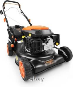 FX-RM4346 Self Propelled Petrol Lawn Mower 42cm Cutting Width, 3.5HP 4-Stro