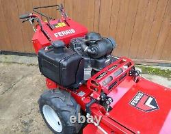 Ferris Fw35 48'' Rear Discharge Rotary Mower 2017 325 Hrs