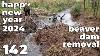Happy New Year 2024 Manual Beaver Dam Removal No 142
