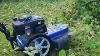 Hyundai Petrol Push Field Grass Trimmer Strimmer Hyft56 In Use