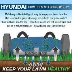 Hyundai, Self-Propelled Petrol Lawnmower, 25-75mm Cuts, Rear Discharge, HYM430SP