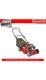 Mountfield SP41 Petrol Self Propelled Lawnmower (297412043/M21)