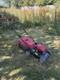 Mountfield SP474 Self Propelled 45cm Cut Red Petrol Lawn Mower Runs Amazing