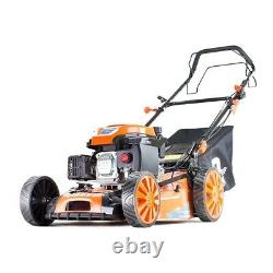 P1 P5100SP Self Propelled 20 51cm 173cc Petrol Lawn Mower GRADED