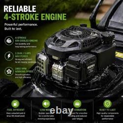 Petrol Lawnmower, 42cm cutting width, petrol engine, Up to 250m², 55L Grass Hold