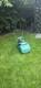 Qualcast Classic 35S Petrol Cylinder Lawn Mower Starts, Runs, Pulls & Cuts