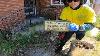 The Biggest Yard Transformation On Youtube Working For Free