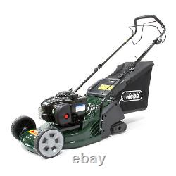 Webb WERR17SP 43cm (17) Self Propelled Petrol Rear Roller Lawn Mower